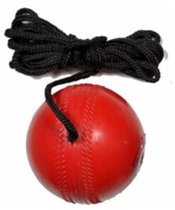 Hanging Cricket Ball for Practice
