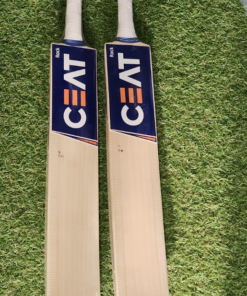 CEAT English Willow Bat